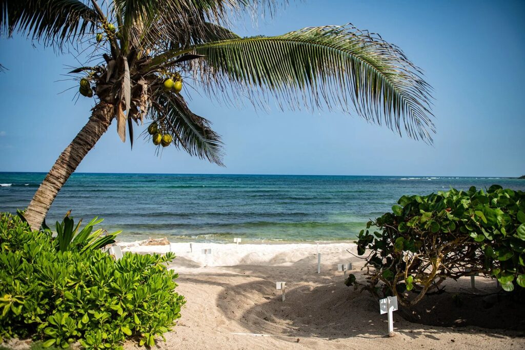 Qué Hacer en Akumal en 3 Días: Itinerario Completo